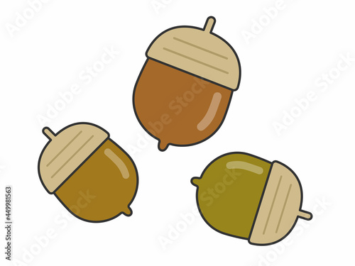 ドングリのイラスト