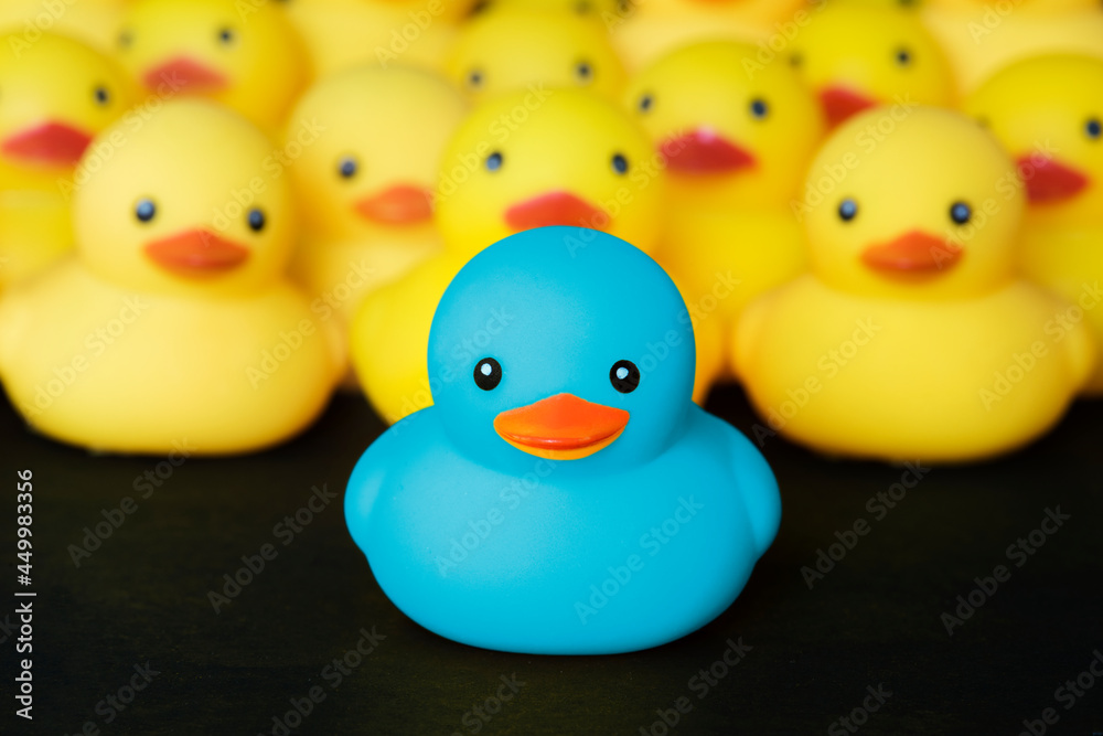 Closeup of rubber duckies Closeup of rubber duckies