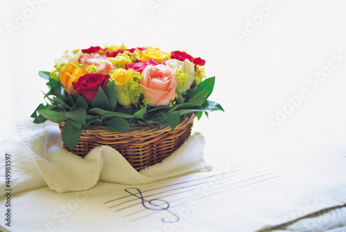 bouquet of tulips in a basket