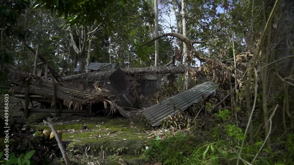 Wrecked House in the Woods by a Strong Typhoon Gimbal Pull-Out Wrecked House in the Woods by a Strong Typhoon Gimbal Pull-Out