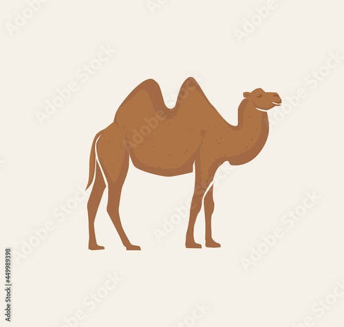 Canvas-taulu arabic camel animal vector illustration