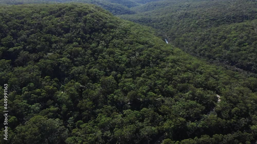 Drone aerial shot, pan up reveal a grand luscious beautiful forest - outdoors and relaxing on a sunny day near the Georges River, Sydney - Australia