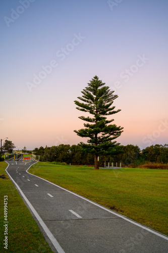 road to the sea photo