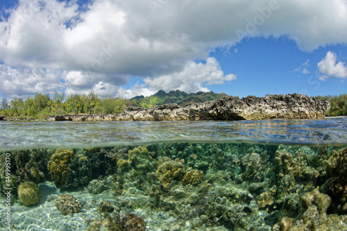 lagon de moorea - polynesie francaise