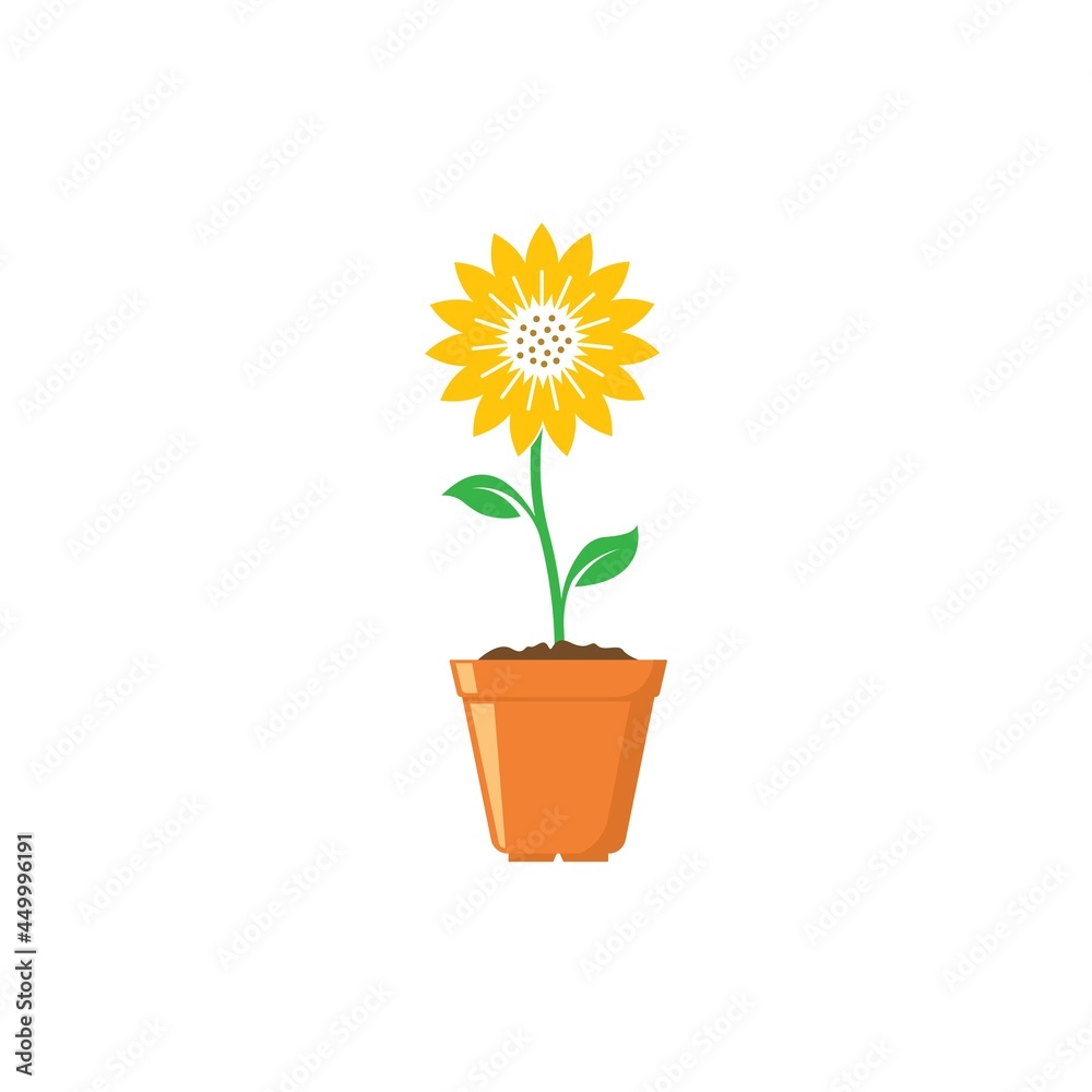 sunflower growing in pot icon vector illustration design template