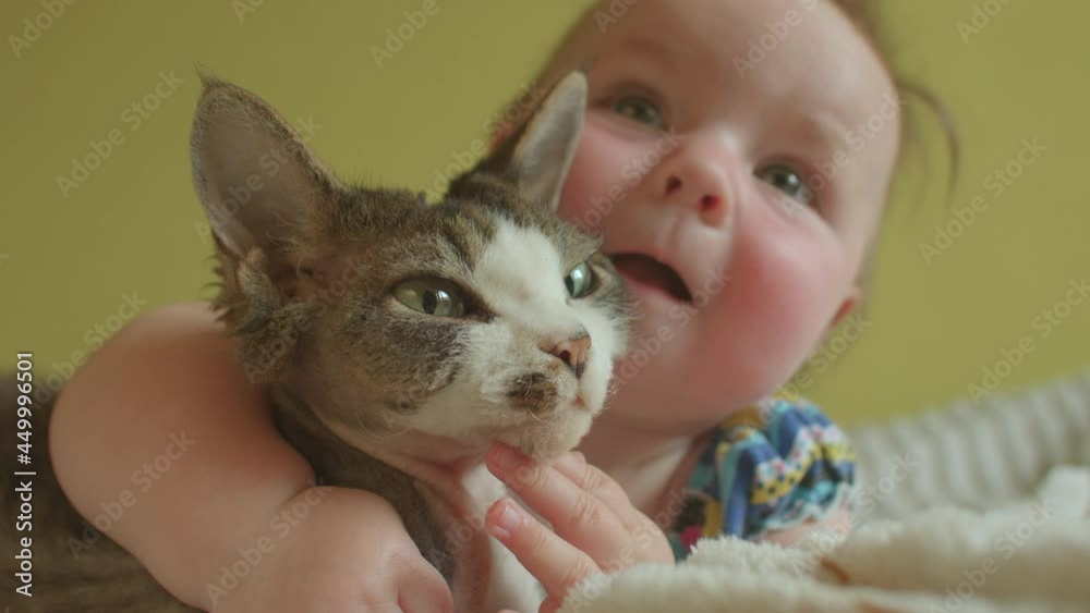 Cute happy baby hugs a cat. Toddler with pet, close up. Emotional development includes the child's experience, expression, and management of emotions. Cute happy baby hugs a cat. Toddler with pet, close up. Emotional development includes the child's experience, expression, and management of emotions.