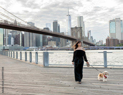 a young woman walking with a small mixed breed dog at dumbo's boardwalk with brooklyn bridge and new york city's buildings in the background
