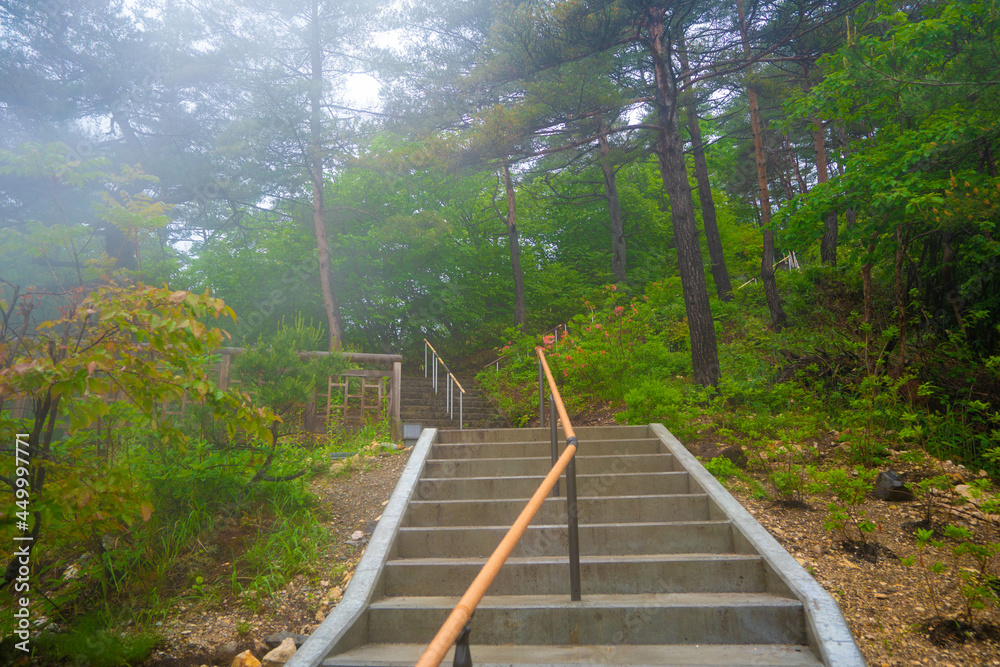 Obraz premium 群馬県吾妻郡草津町の草津温泉に旅行している風景 A scene from a trip to Kusatsu Onsen in Kusatsu-machi, Agatsuma-gun, Gunma Prefecture. 