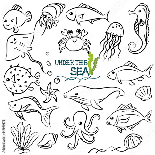 doodle style hand drawn, Fish and wild marine animals in ocean. Sea world dwellers, cute underwater creatures, coral reef inhabitants in their natural habitat, undersea fauna of tropics. Flat cartoon 