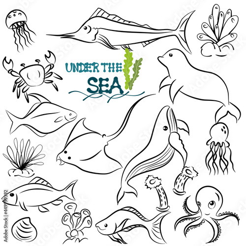 doodle style hand drawn, Fish and wild marine animals in ocean. Sea world dwellers, cute underwater creatures, coral reef inhabitants in their natural habitat, undersea fauna of tropics. Flat cartoon 
