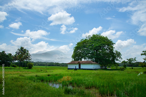 Photography A small temple in a green rice field under a white cloudy sky, A village photography from Kerala, India, White clouds in blue sky