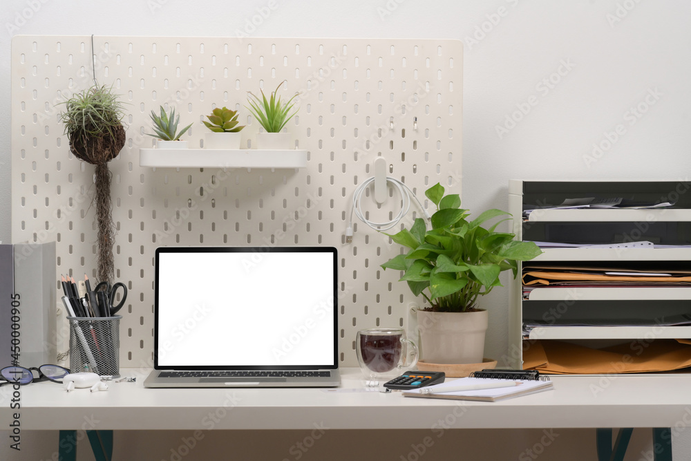 Front view laptop computer and houseplant on white table. Front view laptop computer and houseplant on white table.