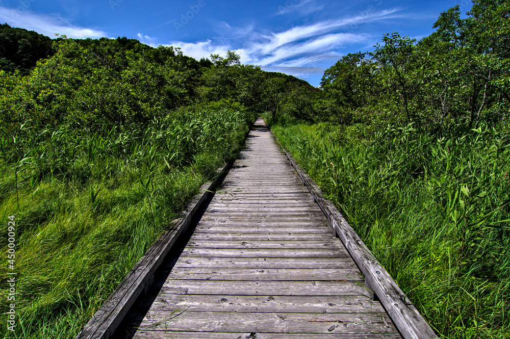 晴れた日の青空の下の草原の真っ直ぐな木道。北海道の釧路湿原で。