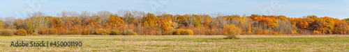 Panorama Autumn forest in front of a meadow against a blue sky. Autumn landscape © pro2audio