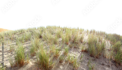 Sand dune with sea grass on a white background. photo
