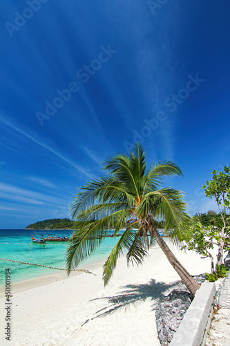 Fototapeta Naklejka Na Ścianę i Meble -  Beautiful Thailand travel island Koh Lipe white sand beach with palm tree and sunny blue sky landscape background