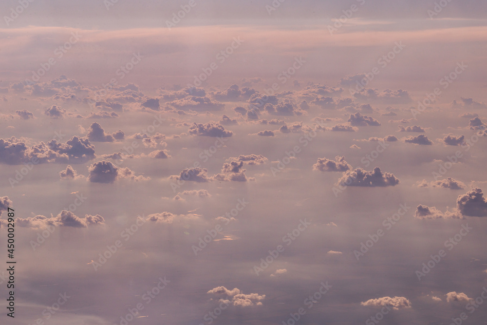 Fototapeta premium flock of birds in the fog