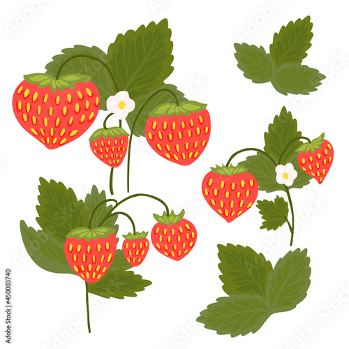 Set of strawberries with foliage and flowers isolated from the background. Kit of vector nature clipart for stickers, menus and postcards. Hand drawn flat berries on bushes and leaves.