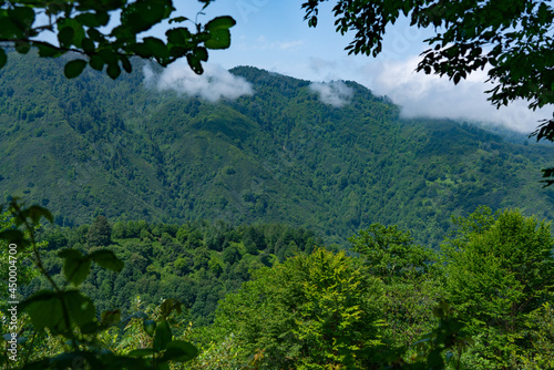 Nature of Georgia: Guria region, Gomis Mta