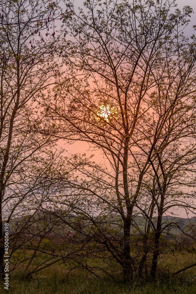 sunset and clouds golden hour