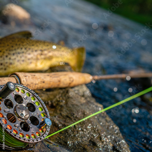 A fly fishing rod and reel on the river bank. Trout fishing.