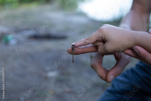 dragonfly sits on the index finger of the girl's hand 