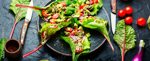 Tableau sur toile Spring vegetable salad in chard leaves