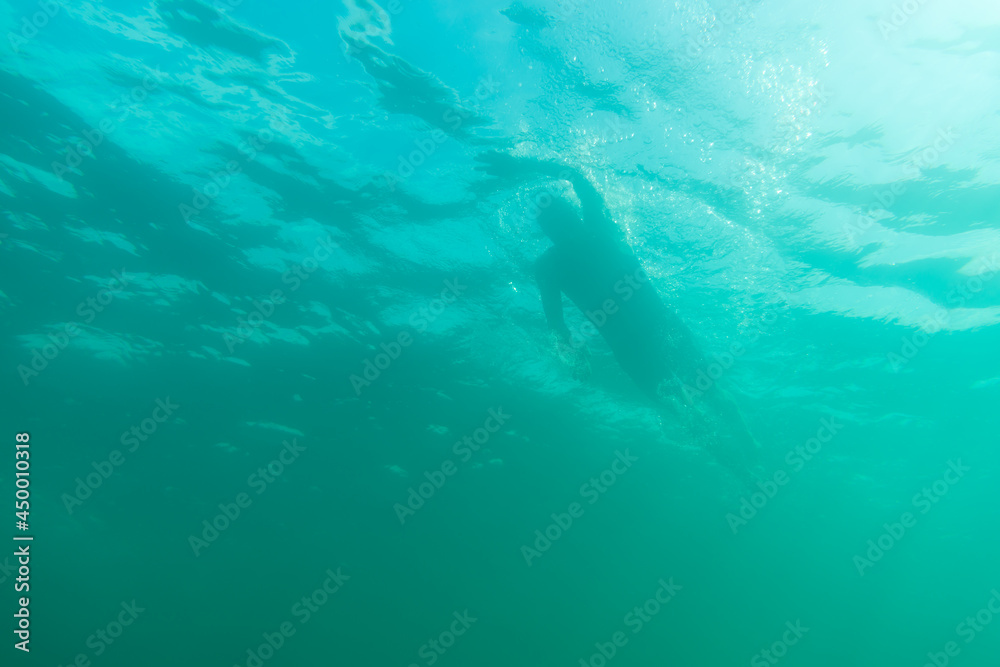 Fototapeta premium Silhouette of an athlete swimming in beautiful blue water
