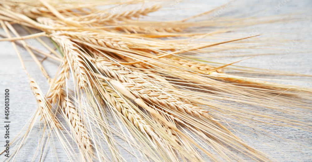 Ears of wheat grains on the white table. Ears of wheat grains on the white table.