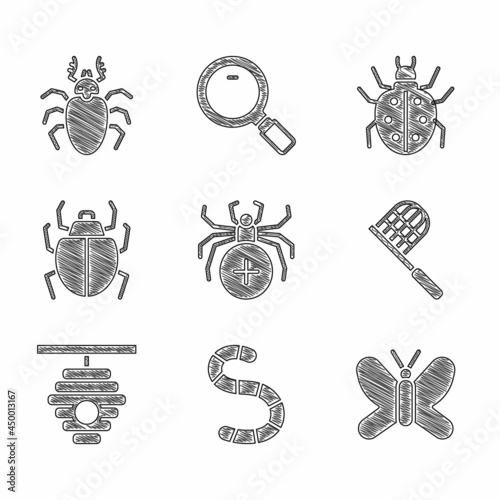 Set Spider, Worm, Butterfly, net, Hive for bees, Mite, and Beetle deer icon. Vector