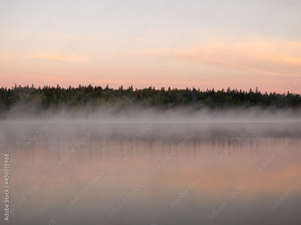 summer landscape with morning fog