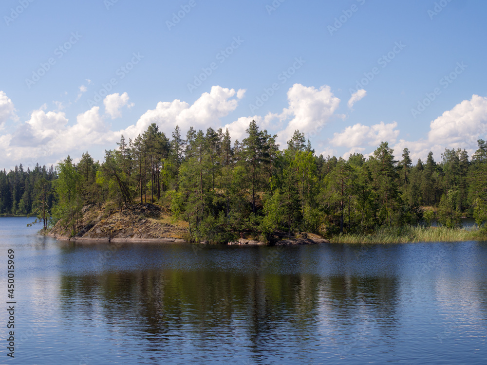 island on a forest lake