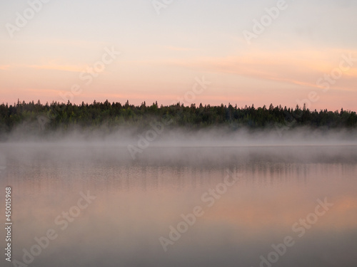 summer landscape with morning fog