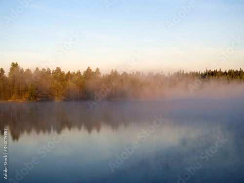 morning fog on a forest lake