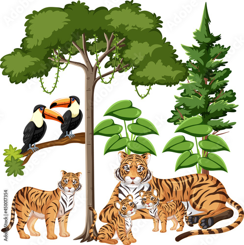 Group of tiger family with wild elements on white background
