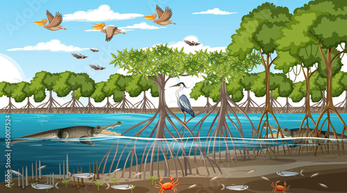 Mangrove forest landscape scene at daytime