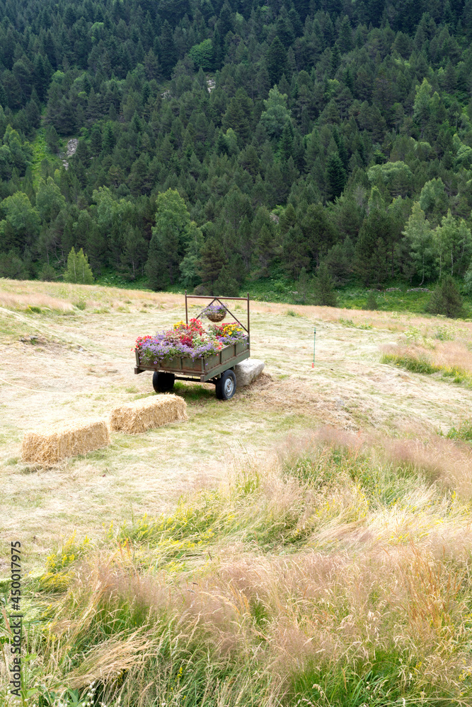 Fototapeta premium Flower pit in the trailer