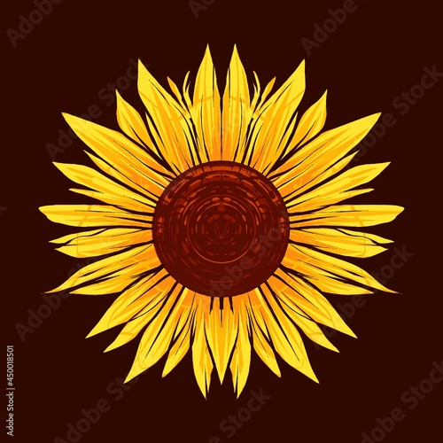 sunflower vector illustration with antique style, vintage and old