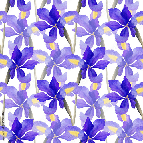 Purple irises seamless pattern on a white background. Fashion fabric texture of watercolor flowers. Summer garden floral ornament. Elegant wallpaper, beauty products packaging design. Botanical print