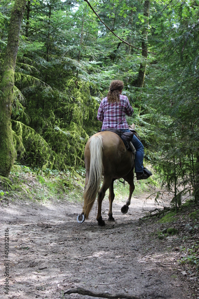 Cavalière sur son cheval dans une forêt jurassienne Cavalière sur son cheval dans une forêt jurassienne