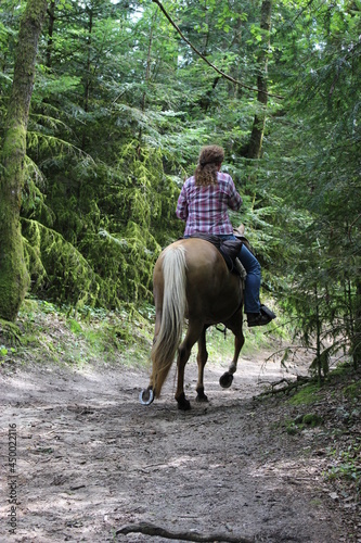 Cavalière sur son cheval dans la forêt