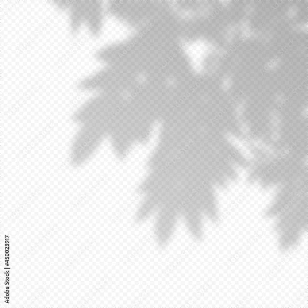 Obraz premium Realistic Vector transparent overlay blured shadow of branch leaves.
