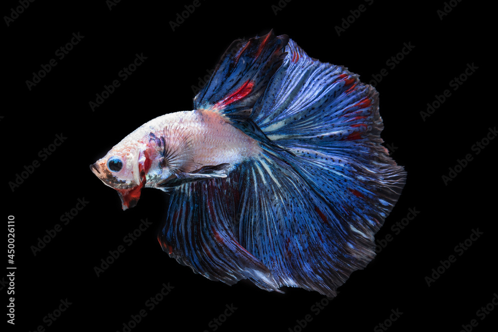 Beautiful colors Beautiful colors