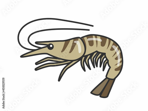 生のエビのイラスト