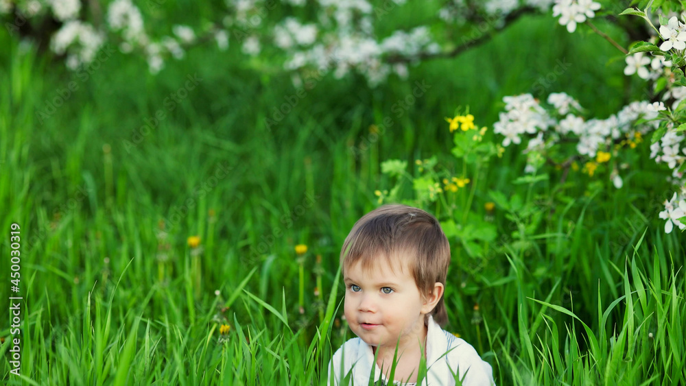 A cute boy with expressive blue eyes in a fashionable jumpsuit smiles funny and hides in the tall green grass A cute boy with expressive blue eyes in a fashionable jumpsuit smiles funny and hides in the tall green grass