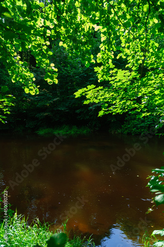 river lainsitz in the lower austrian region waldviertel photo