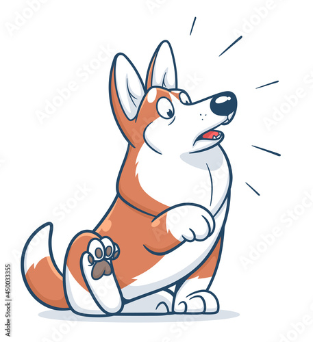 Vector illustration of cartoon surprised Welsh corgi.