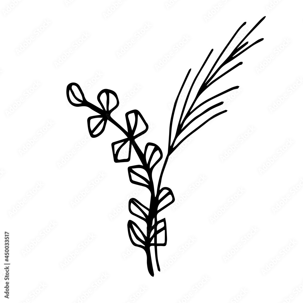 Naklejka premium Doodle leaf in hand drawn style. Beautiful illustration for decorative design.