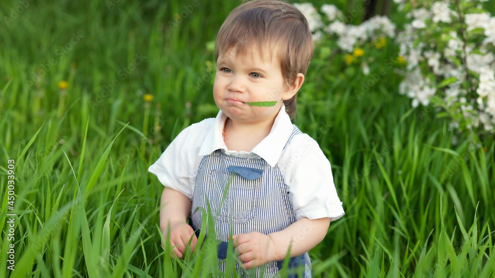 Funny little boy with blue bright eyes in overalls eating fresh green grass in a large blooming garden Funny little boy with blue bright eyes in overalls eating fresh green grass in a large blooming garden