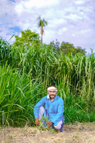 indian farmer at sugarcane field